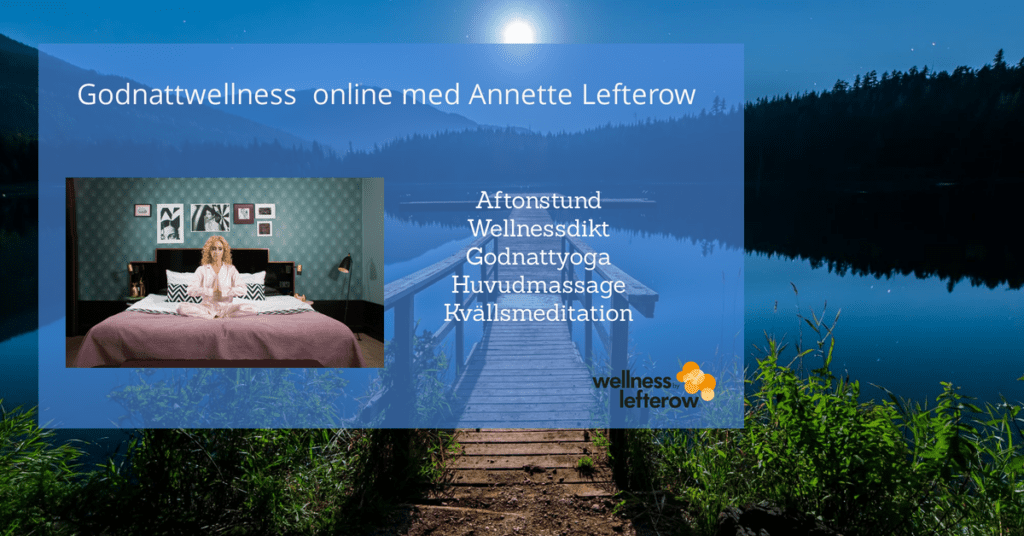 Bilden visar programinnehåll för Godnattwellness online